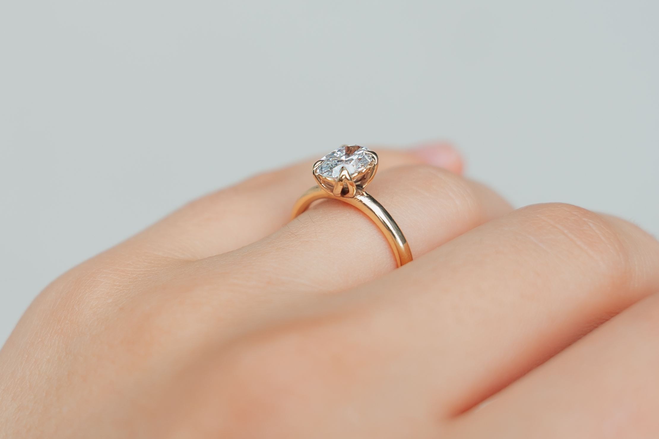 anilloovaltulipan 19