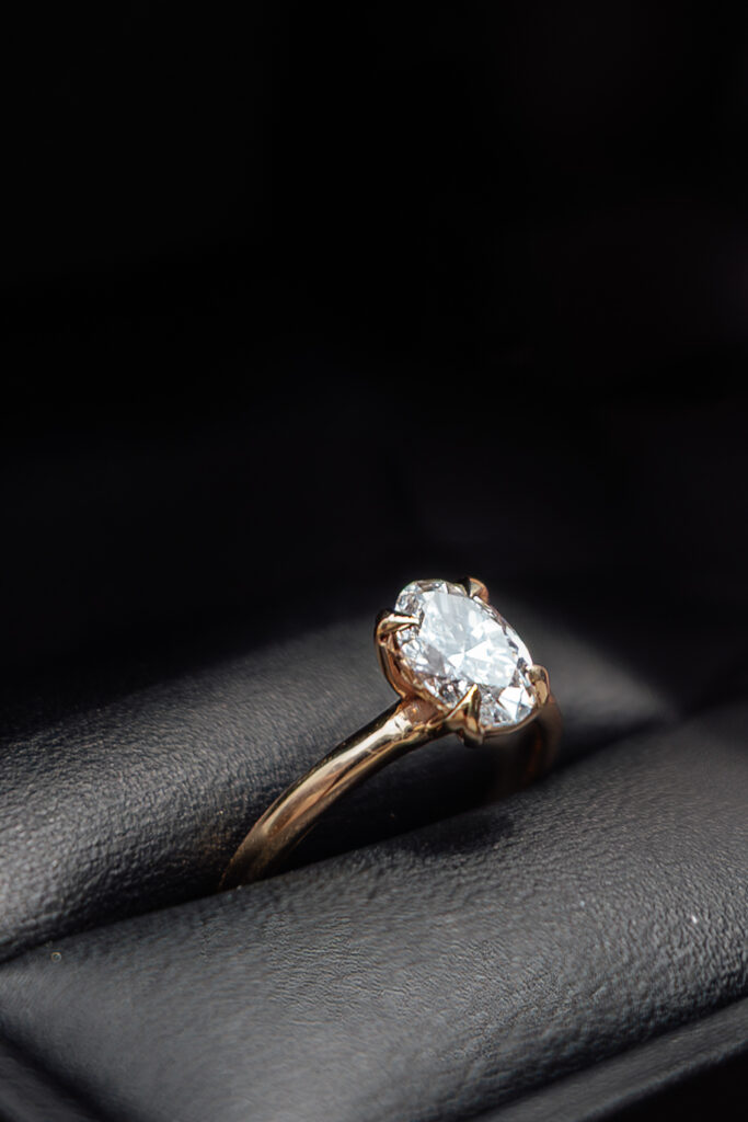 anilloovaltulipan 29