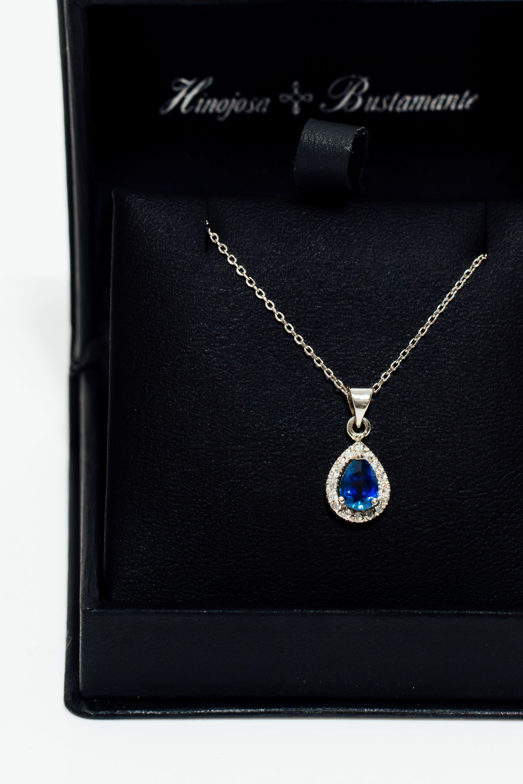 hinojosa&bustamante 010 (1)