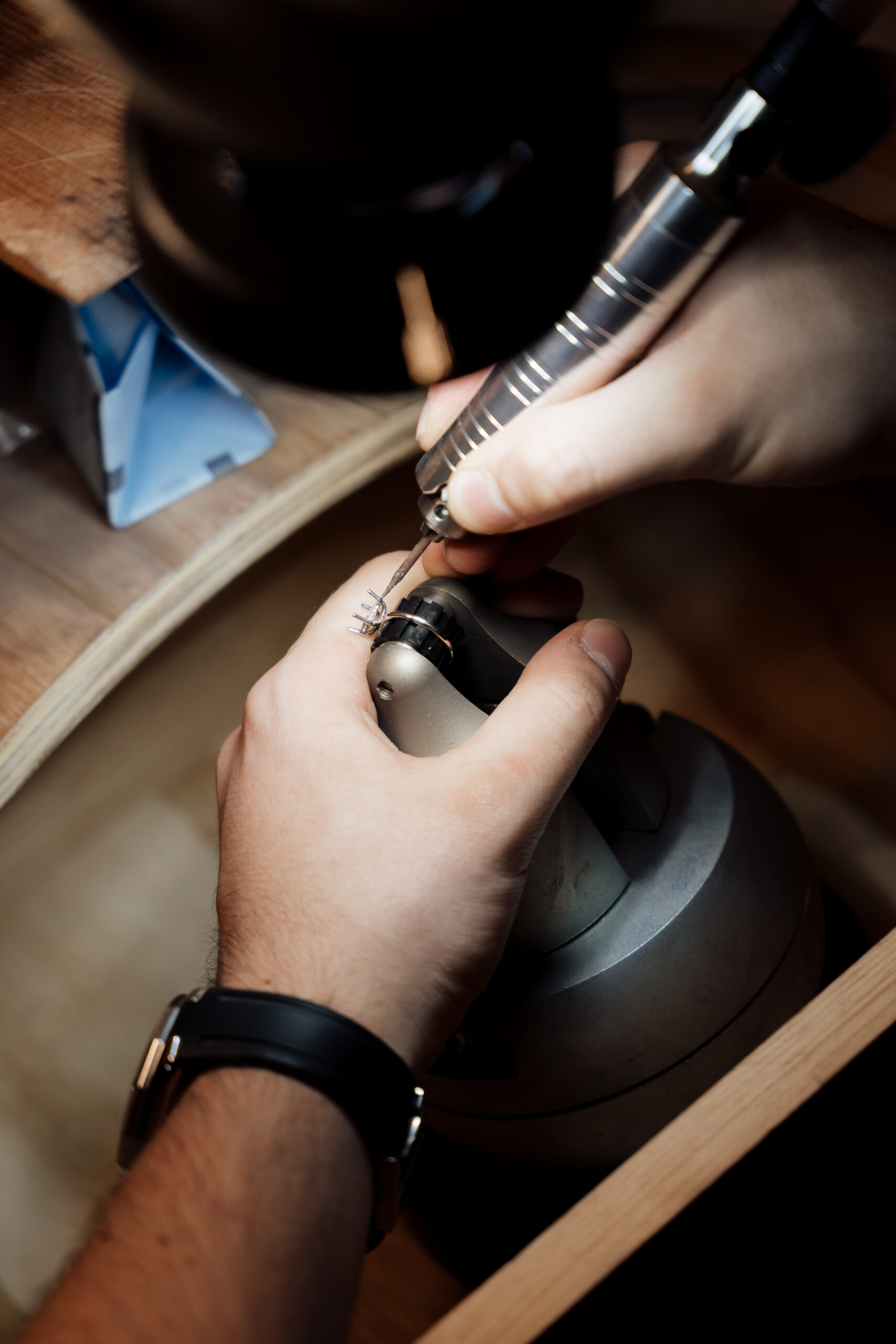 procesoanillodecompromisototemitre 052