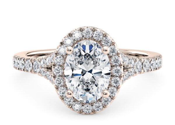 halo medi radiant blanco (copia)