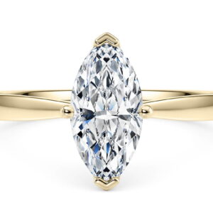 delicacy marquesa sol