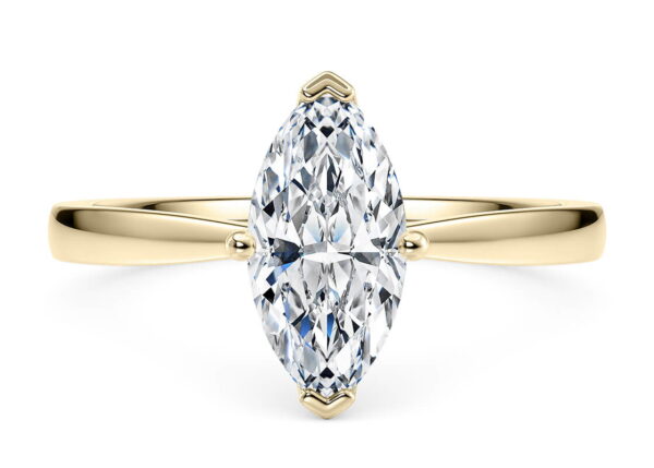 delicacy marquesa sol