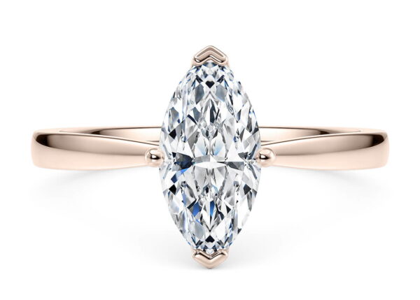 delicacy marquesa sol